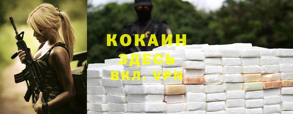 мет Гусев