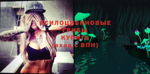 мет Гусев