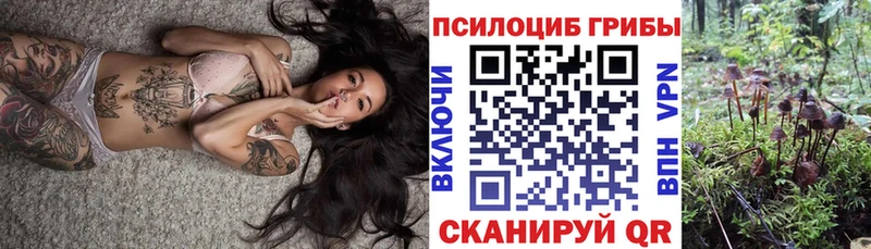 Галлюциногенные грибы Psilocybine cubensis  Оха 